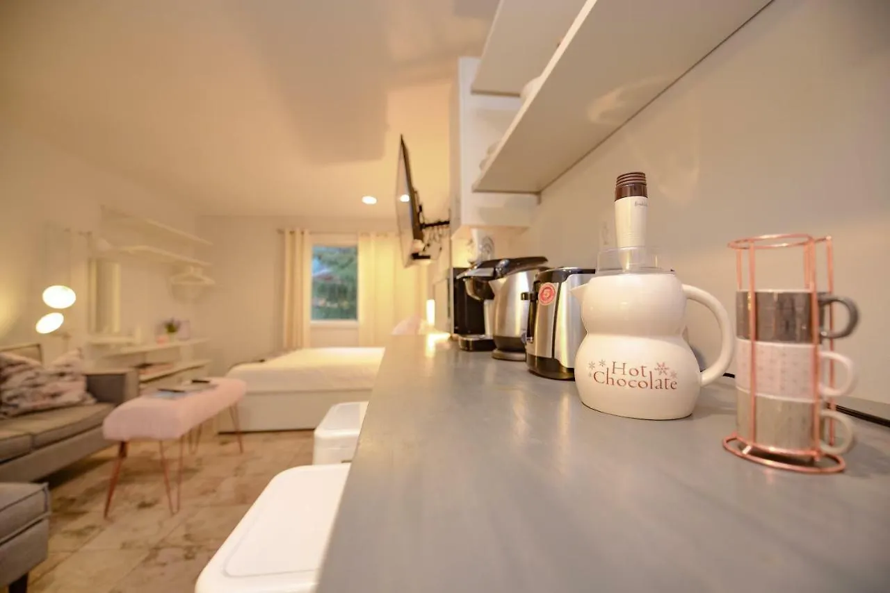 Newly Renovated Whistler Studio Canada