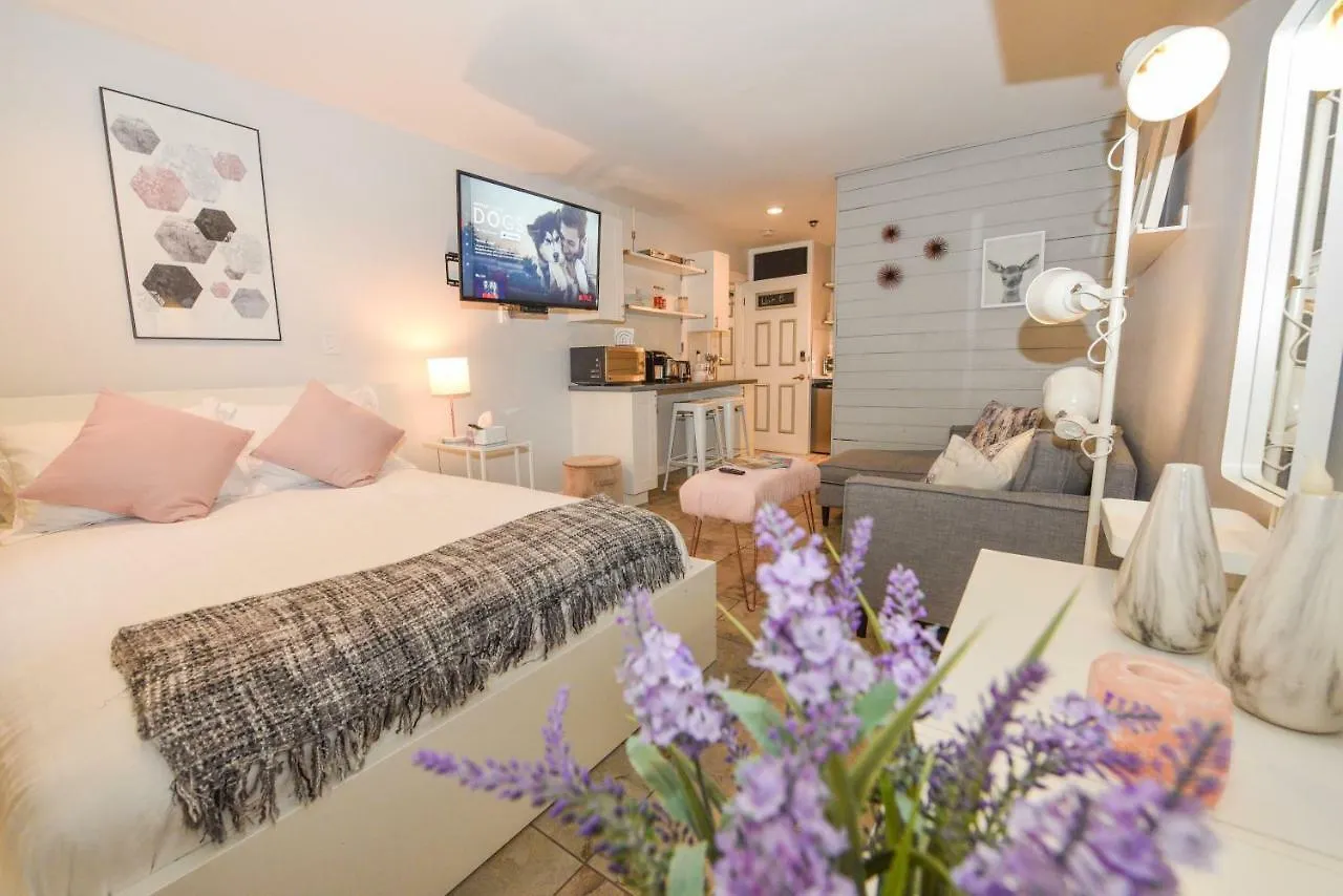 Newly Renovated Whistler Studio
